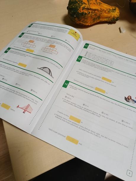 Priprava na testovanie 9 matematika + sjl,
