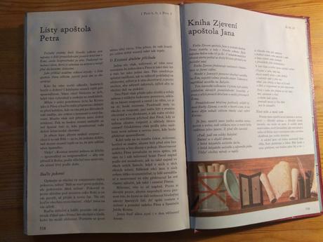 Biblia pre deti  ilustrovana - 45 eur, 