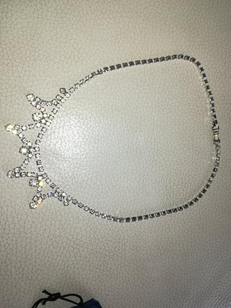 Nahrdelnik strasovy,