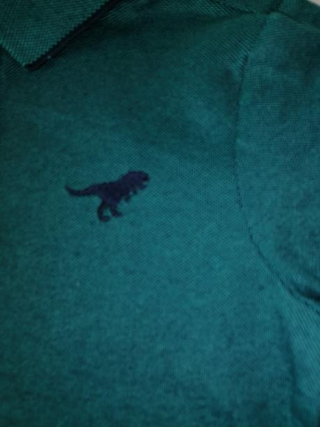 Pólo tričko s dinosaurom, 104