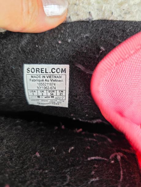 Snehule sorel, sorel,34