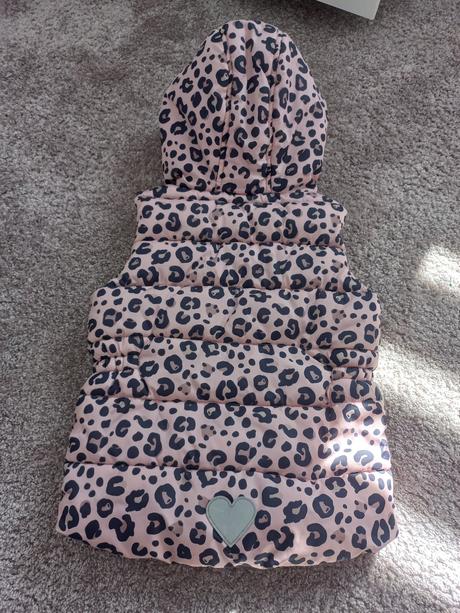 Hrubsia vesta, dopodopo, 122, dopodopo,122