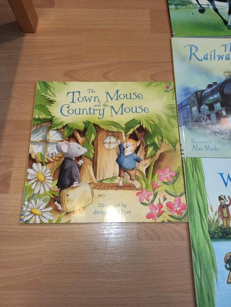 Usborne picture books / zositkove citane,