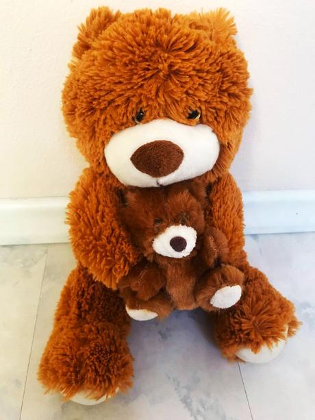 Macík s mláďatkom,