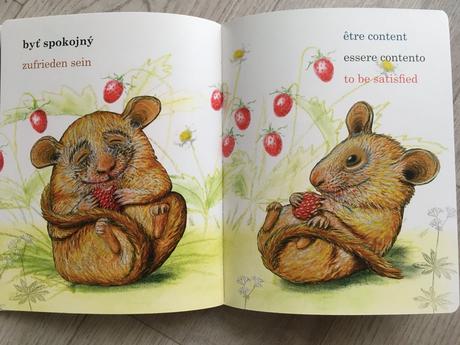 Nová viacjazyčná kniha, 