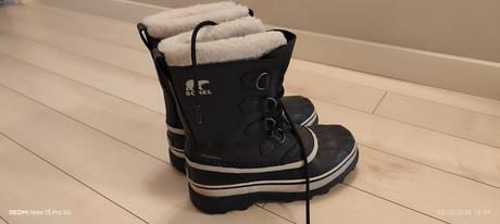 Snehule sorel, sorel,40