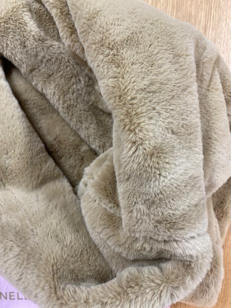 Coccinelle nakrcnik, 