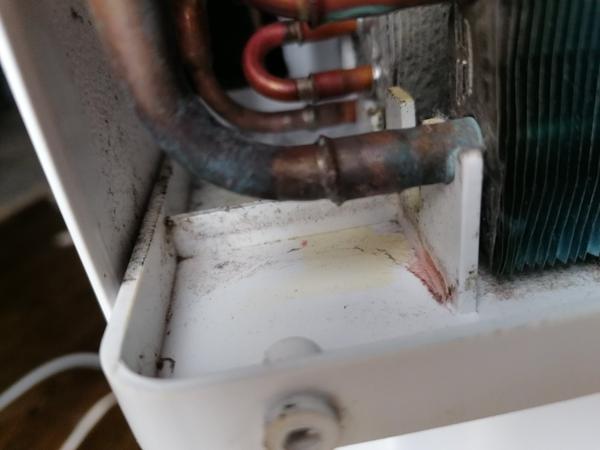 Skúsenosti s odvlhčovačom značky Concept: Ako riešiť kontamináciu?