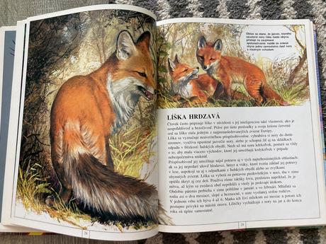 Zvieratá európy-prvé vyd.1997, 
