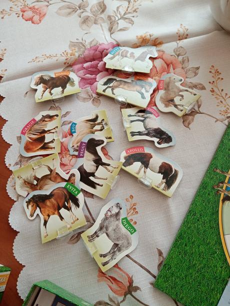 Dostihy a sázky junior, 