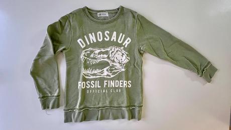 Mikina dinosaurus, h&m,128