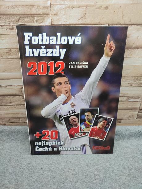 Fotbalové hvězdy 2012 cz - jan palička, 