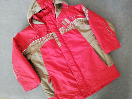 Kabat s4165, palomino,122