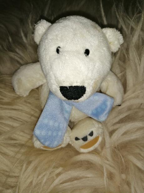 Ľadový medvedík nici, 