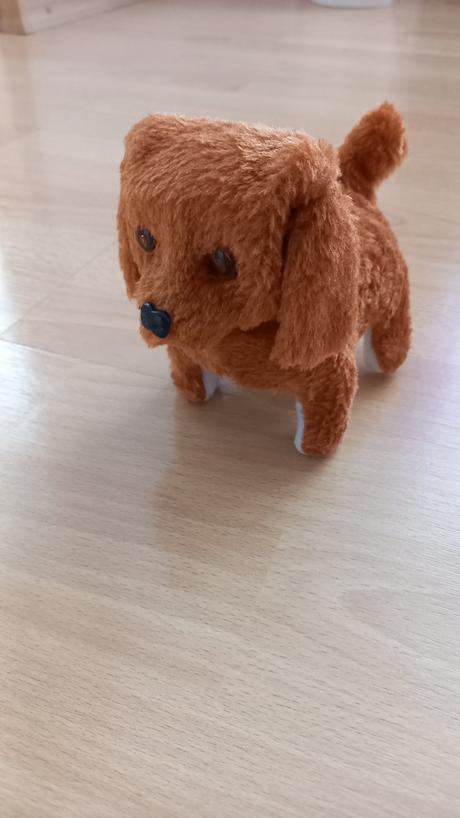 Psík na baterky, 