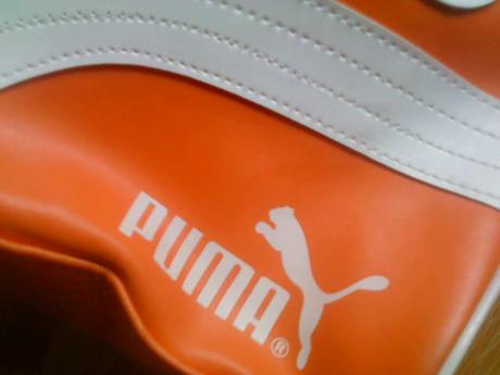 Puma kabelka, puma