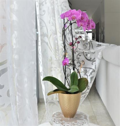 Zlatý kovový tepaný kvetináč na orchideu, 