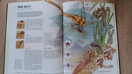 Kniha tajomstvo přírody,