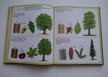 Obrázky z prírody, 