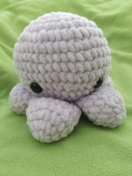 Veľká chobotnička, 