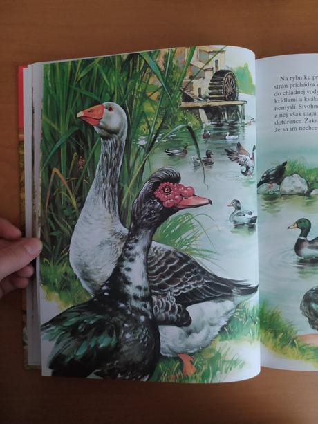 Moja najkrajšia kniha o zvieratkách, 