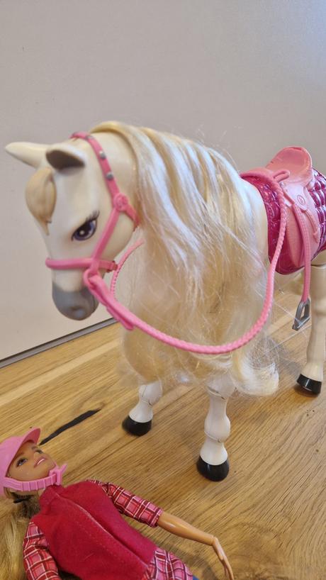 Mattel babika barbie a interaktivny kon dreamhorse, 