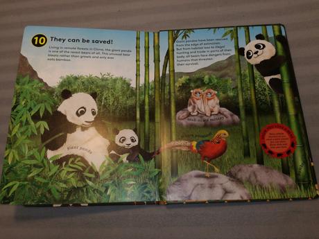 Catherine barr 10 reasons to love a bear nsu22, 