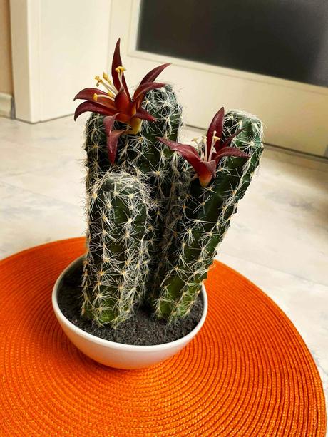 Kvitnúci umelý kaktus, 