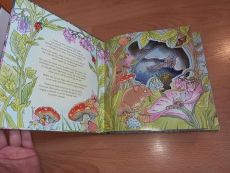 Fairy midnight surprise / mermaid's treasure hunt,