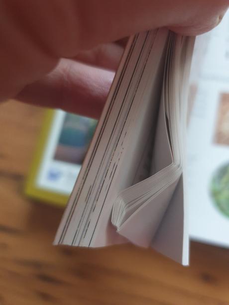 Kaktusy a sukulenty,