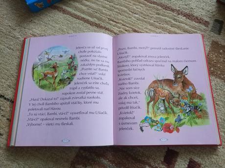 Kniha s rozpravkami,