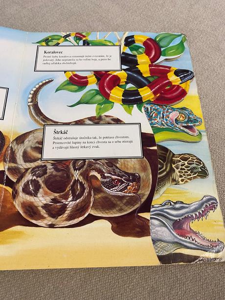 Krásne leporelo plazy v malíčku nayer judy 1992,