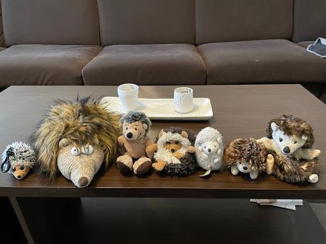 Plyšoví ježkovia, 