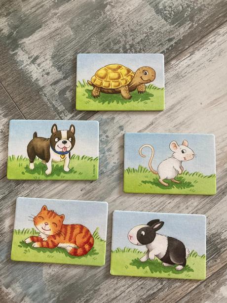 Spoločenská hra haba,