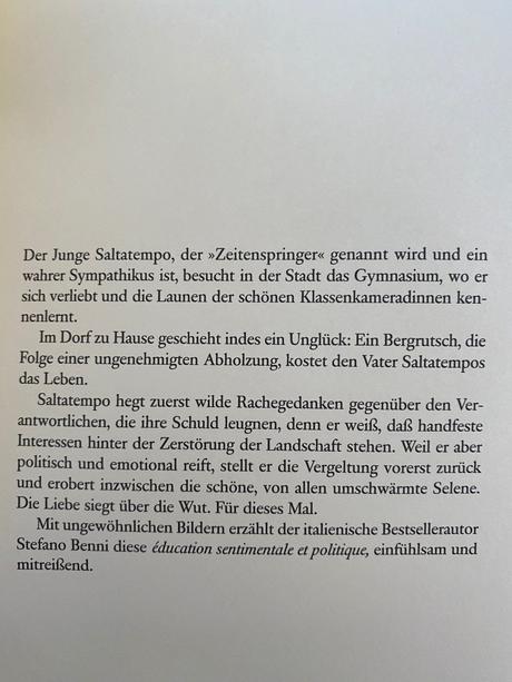 Stefano benni - der zeitenspringer,