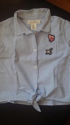 Kosela, l.o.g.g.,140