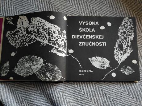 Vysoka skola dievcenskej zrucnosti, 