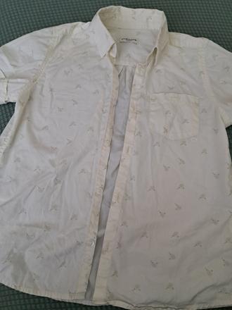 Kosela cyrilus paris, 128