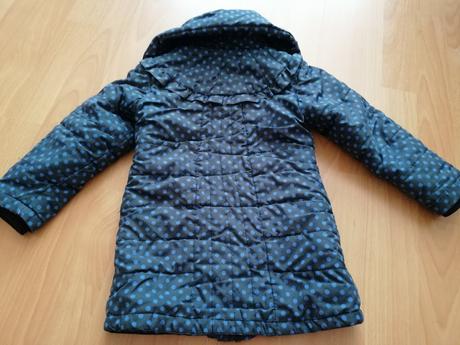 Bodkovaná vetrovka, 104