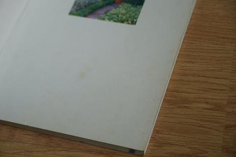 Bylinky nejlepší druhy a odrůdy, 