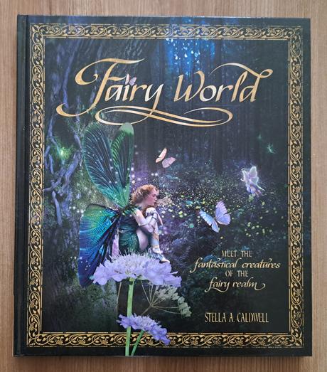 Kniha fairy world, 