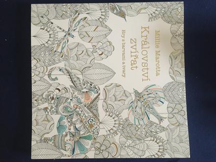 Kniha na vymalovanie,