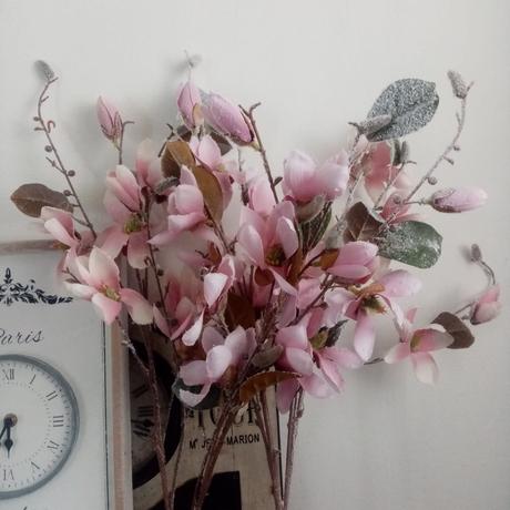 Magnólie s námrazou 3 ks,