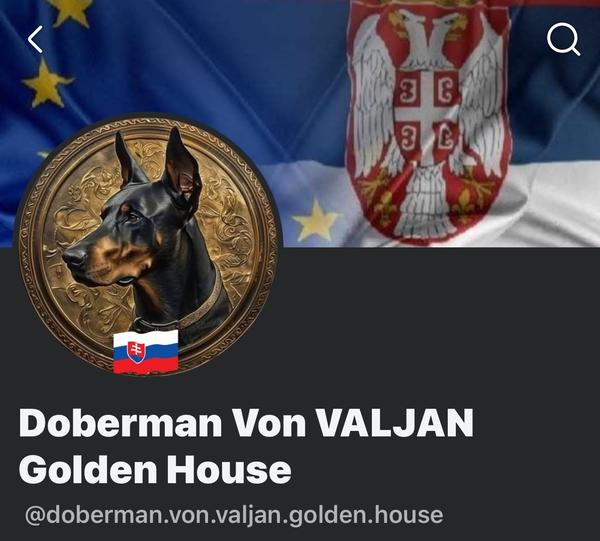 Poznáte šteniatka z tejto chovateľskej stanice?