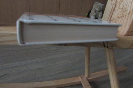 Jerzy edigey strazca pyramidy,