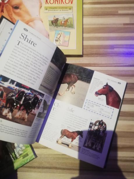 Krasne knihy o konikoch - jedna v anglictine, 