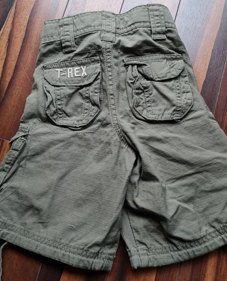 Kapsaciky t - rex, reserved,104