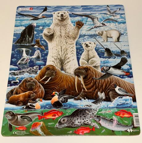 Puzzle arktída 46, 