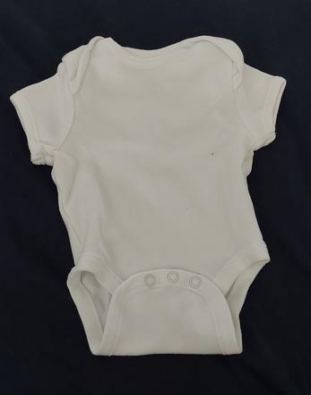 Body, fox & bunny,56