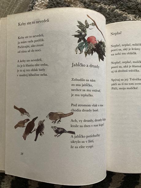 Čarokruh - jan čarek (1983), 